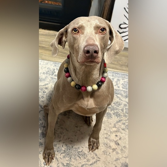 10” Furry Beads Pink, Grey and Green Dog Collar. - Picture 4 of 4